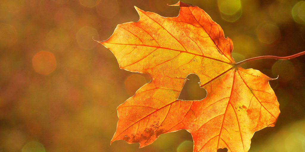Mortgage Matters: November 2019